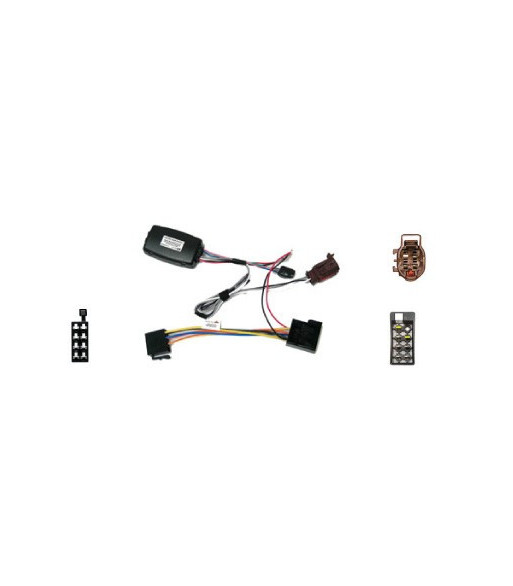 Rat Interface Til Peugeot 406