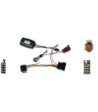 Rat Interface Til Peugeot 406