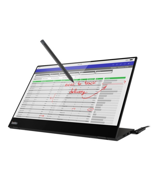 Lenovo ThinkVision M14t 14"