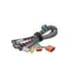 FOCAL IW-IMP-EXT150    EXTENSION CABLES