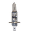 Philips Halogen pære - H1 UV Block 24V/70W