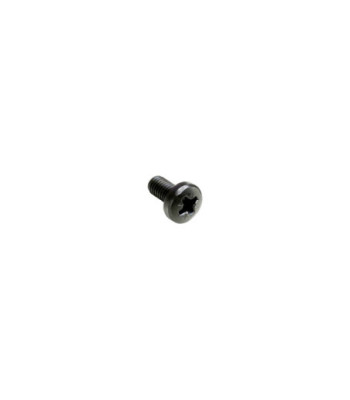 Cross-head Screw M6 x 12 black - 100 stk.