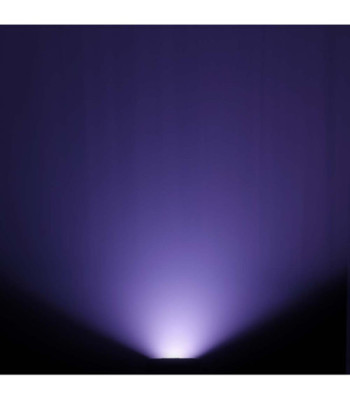 Cameo Outdoor Flood Light with 60 Watt Tri-Color COB LED in Black Housing