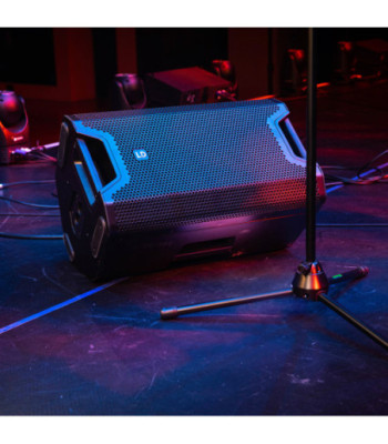 LD Systems 12" Passive Coaxial PA Loudspeaker