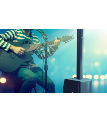 LD Systems Portable Column PA System with Mixer and Bluetooth white