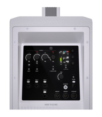 LD Systems Portable cardioid column PA system with digital mixer
