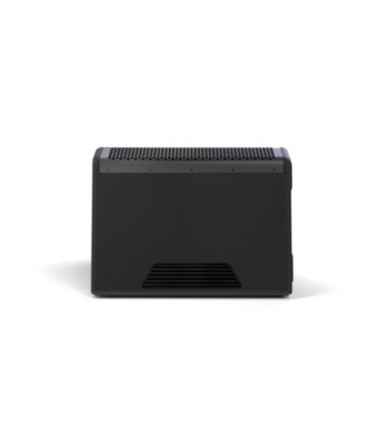 LD Systems 12" powered coaxial stage monitor