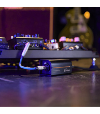 Palmer Passive Line Isolation Box with Combo Input