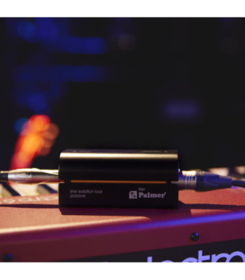 Palmer Passive Line Isolation Box with Combo Input