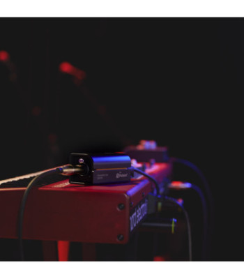 Palmer Passive Line Isolation Box with Combo Input