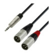 Y-Cable | Rean® 2 x XLR Male x Minijack TRS | 3 m