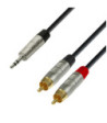 Y-Cable | Rean® 2 RCA x Minijack TRS | 6 m