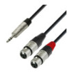 Y-Cable | Rean® 2 XLR Female x Minijack TRS | 1.8 m
