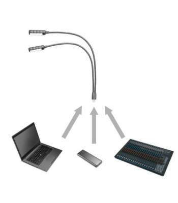 LED Dual Gooseneck Lamp With USB Connector
