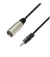 Balanced Cable | Adam Hall® XLR Male x Minijack | 3 m