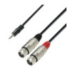Y-Cable | Adam Hall® 2 XLR Female x Minijack | 6 m