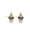 RCA socket female gold-plated with black code ring