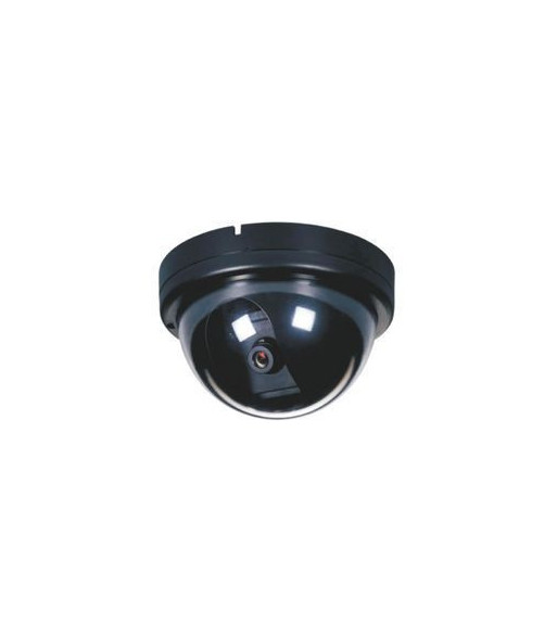 CCD video camera