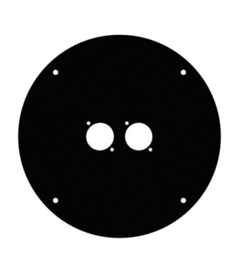 Front panel for K4CD042 with 2 x D-type hole