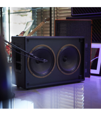 Palmer Guitar speaker cabinet with Celestion Vintage 30 2 x 12