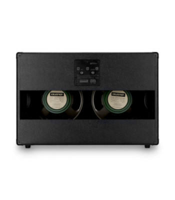 Palmer Guitar speaker cabinet with Celestion Greenback 2 x 12