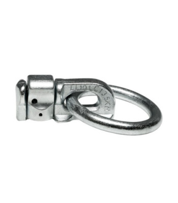 Double Stud Ring