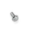  Galvanized Steel