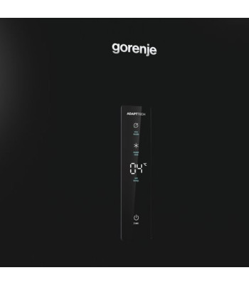 Gorenje R619EABK6 - Fritstående køleskabe