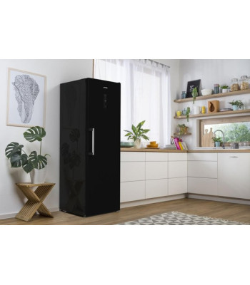 Gorenje R619EABK6 - Fritstående køleskabe