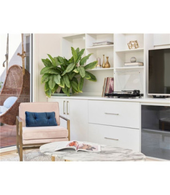 Yamaha MusicCast Vinyl 500