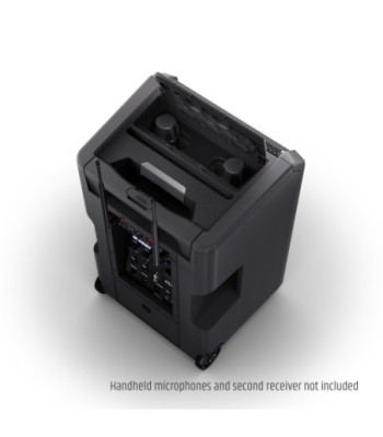 LD Systems ANNY® 10 BPH B6