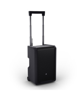 LD Systems ANNY® 10 HHD B5