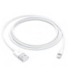 Apple Lightning to USB Cable - 1m