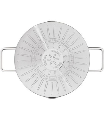 Tefal Steam pot Ø24 cm - Gryde med dampindsats