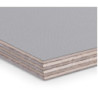 Adam Hall 9mm birch phenolic resin with grey leather-look texture, 2500mm x 1250mm