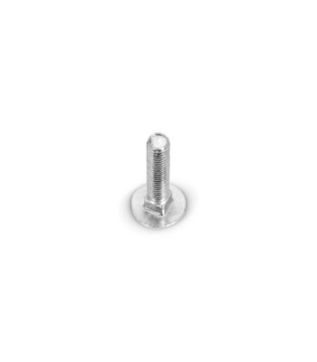 Adam Hall Cup head square neck screw M6 x 20 mm, steel galvanised, DIN 603 - 100 Stk.
