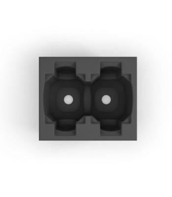 Cameo Foam Case Insert for 2 x CLASZ300