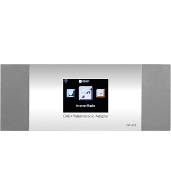 Internet/DAB+/FM radio/Bluetooth - DR-463