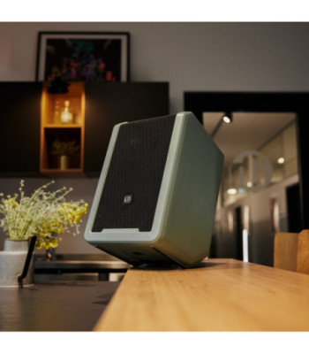 LD Systems Portable battery-powered Bluetooth® PA loudspeaker with mixer and 1x wireless handheld microphone,  Adventure Green