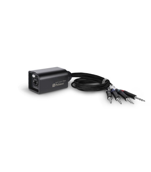Palmer Audio over Cat Loom from etherCON to 4 x 6.3 mm TRS jack