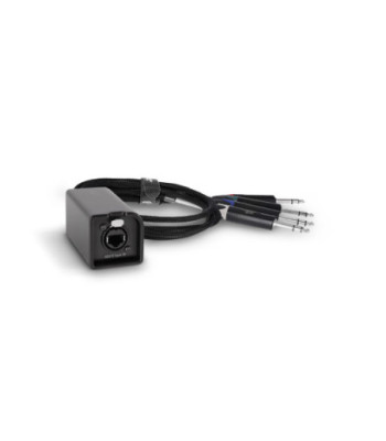Palmer Audio over Cat Loom from etherCON to 4 x 6.3 mm TRS jack