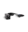 Palmer Audio over Cat Loom from etherCON to 4 x XLR female