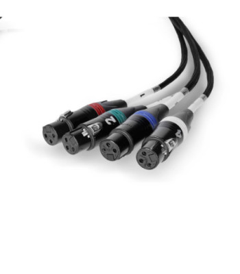 Palmer Audio over Cat Loom from etherCON to 4 x XLR female
