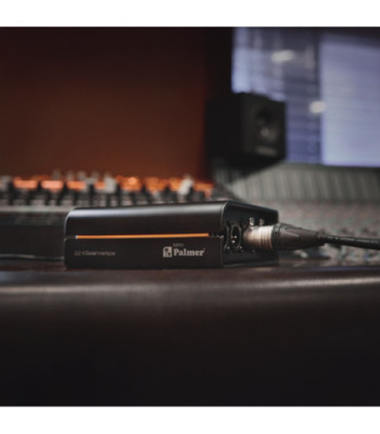 Palmer 2x2 Dante® interface