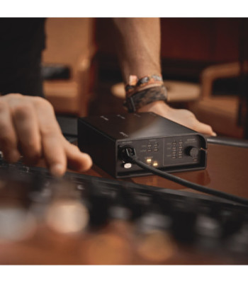 Palmer 2x2 Dante® interface