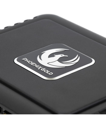 Phoenixgold ZDA6.8 6-Channel DSP Amplifier