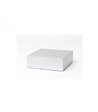 Pro-Ject Amp Box DS2 Stereo Silver