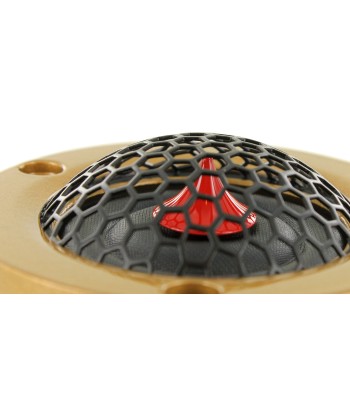 Scan-Speak Gold Series R3004/602005 (sæt)