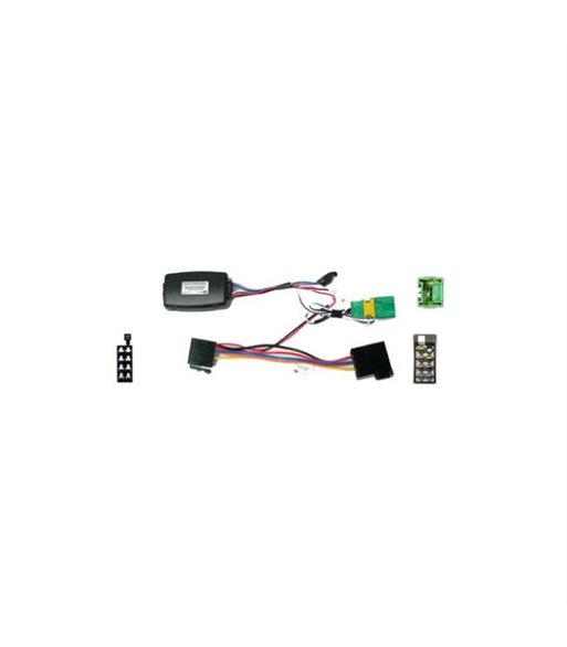 Rat Interface til Peugeot 206