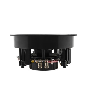 EARTHQUAKE ECS-6.5 loftshøjttaler